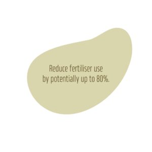 Beam. Reduce Fertiliser use by potentially up to 80%.